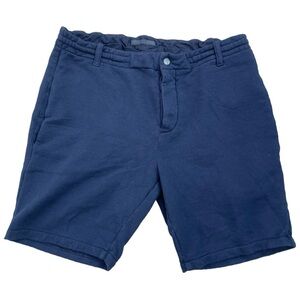 Ari Navy Blue Shorts (32)